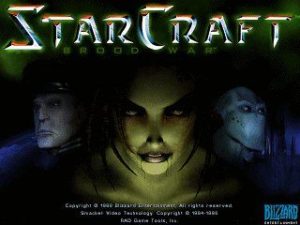 Starcraft BroodWar